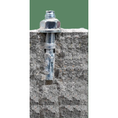 Kotwa pierścieniowa FT... Throughbolt, ocynk galwaniczny